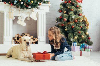 Labrador 'un yanında oturan ve dekore edilmiş oturma odasında hediyesini tutan sıcak süveterli mutlu çocuk, Noel konsepti. 