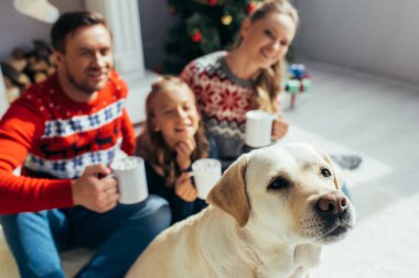 Labrador, arka planda bulanık bardaklarla dolu süveter giyen neşeli bir ailenin yanında. 