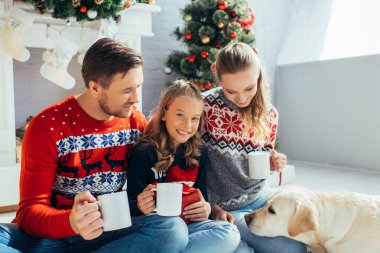 Noel 'de Labrador yakınlarında süveter giyen mutlu bir aile bardaklarını tutuyor. 