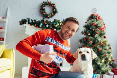 Süveter içindeki neşeli adam Labrador 'a sarılıyor ve süslü Noel ağacının yanında hediyesini tutuyor. 