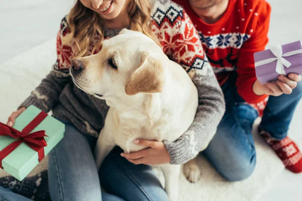 Обрізаний Вид Щасливої Пари Тримає Подарунки Біля Собаки Ялинки Вдома — стокове фото