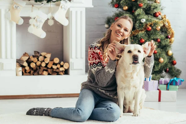 Happy Woman Sweater Sitting Floor Playing Labrador Christmas Tree — Stock Photo, Image