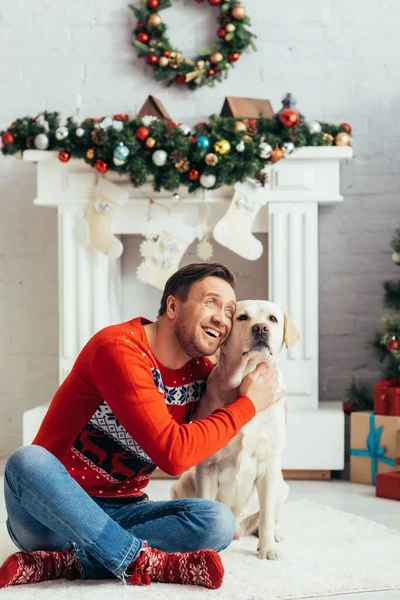 happy man in sweater cuddling labrador and looking away at home on christmas