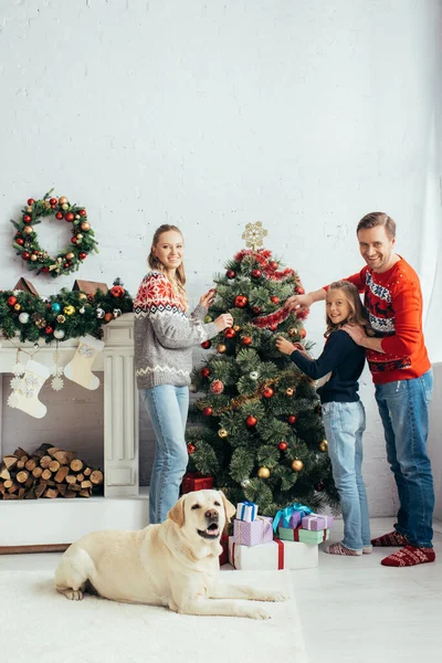 Felice Famiglia Decorazione Albero Natale Vicino Labrador Soggiorno — Foto Stock