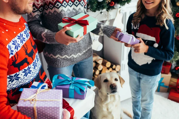 クリスマスに幸せな娘と犬の近くでプレゼントを持っている両親のクロップドビュー — ストック写真