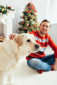 fröhlicher Mann im roten Pullover kuschelt Labrador neben Weihnachtsbaum auf verschwommenem Hintergrund