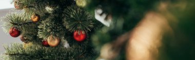 Yeşil çam ve pankartta renkli Noel topları