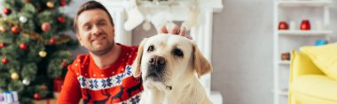 Labrador ve noel ağacı yanındaki kırmızı kazaklı mutlu adam, afiş.