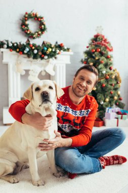 Kırmızı kazaklı mutlu adam, Labrador 'la Noel ağacının yanında oturuyor.