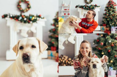 Erkek kucaklaşması kolajı ve kadın yılbaşında labrador kulaklarına dokunuyor