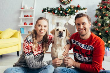 Noel 'de süslü dairede örülü süveter giyen mutlu çift Labrador' a sarılıyor. 