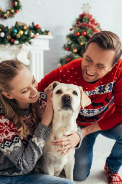 Süslü kazaklı neşeli bir çift Noel 'de süslü bir dairede Labrador' a sarılıyor. 