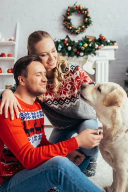 Süslü kazaklı mutlu bir çift Noel 'de dekore edilmiş dairede Labrador' a bakıyor. 