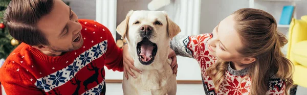 Alegre Pareja Suéteres Punto Abrazando Labrador Bostezar Apartamento Decorado Navidad —  Fotos de Stock