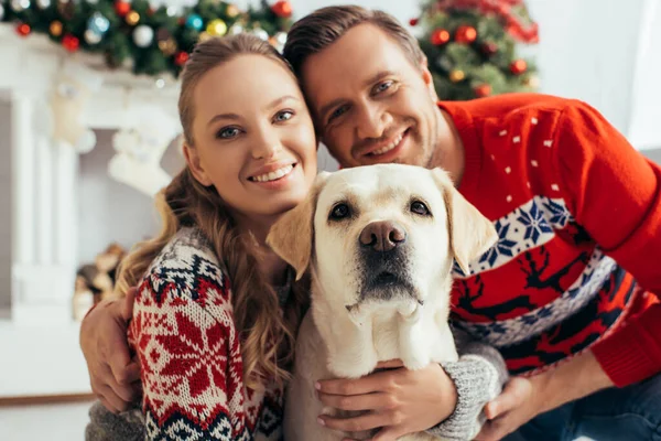 Radosna Para Dzianinowych Swetrach Przytulająca Labradora Urządzonym Mieszkaniu Boże Narodzenie — Zdjęcie stockowe