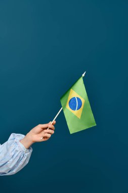 A language teacher with bright red hair waves a Brazilian flag against a blue backdrop.
