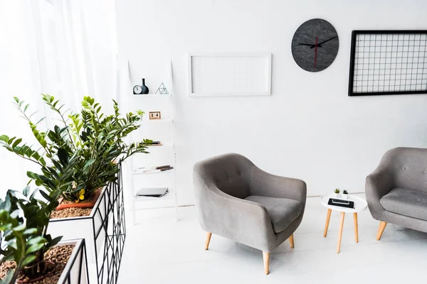 Сучасний інтер'єр залу очікування з сірими кріслами і рослинами — стокове фото