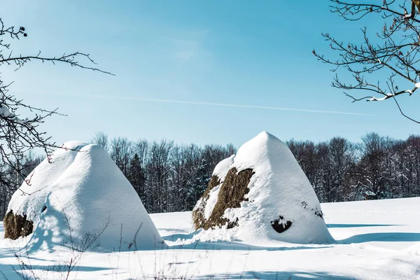 Meules de foin couvertes de neige dans les montagnes des Carpates le jour — Photo de stock