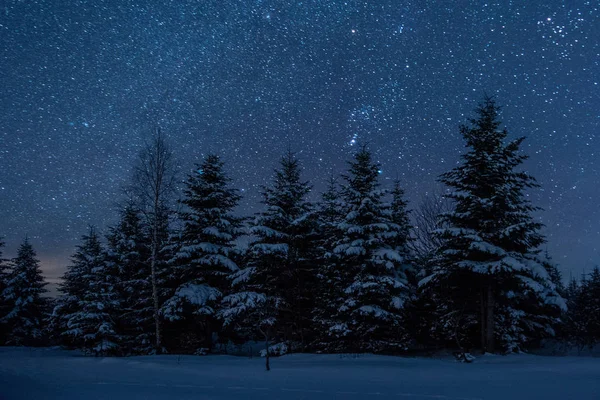 Cielo oscuro lleno de estrellas brillantes en las montañas de los Cárpatos en el bosque de invierno por la noche - foto de stock