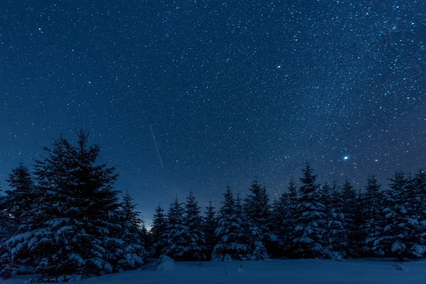 Dark sky full of shiny stars in carpathian mountains in winter forest at night — Stock Photo