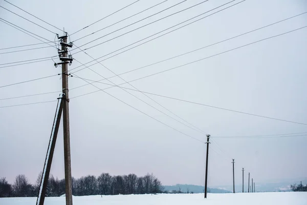 Poteaux électriques avec fils dans le champ recouvert de neige — Photo de stock