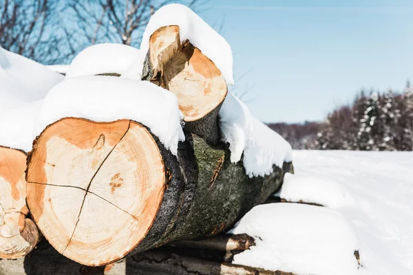 Selective focus of cut textured wooden logs covered with snow — Stock Photo