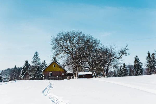 Small village in carpathian mountains near forest with traces on snow — Stock Photo