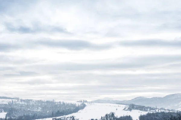 Paisaje de montañas carpáticas cubiertas de nieve con cielo nublado y árboles - foto de stock