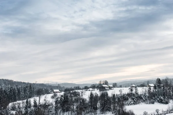 Paisagem de montanhas carpáticas cobertas de neve com céu nublado e árvores — Fotografia de Stock