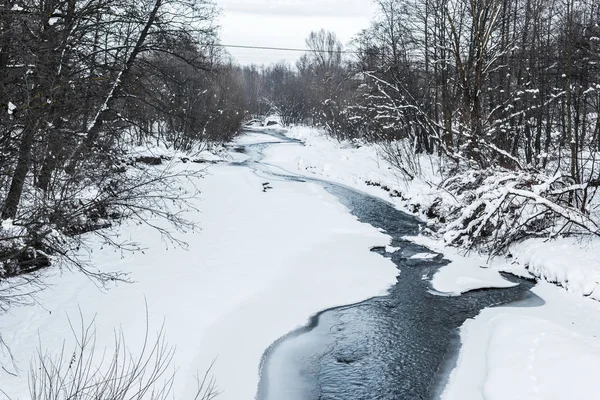 Ruisseau froid dans la forêt d'hiver avec des arbres sur les rives — Photo de stock