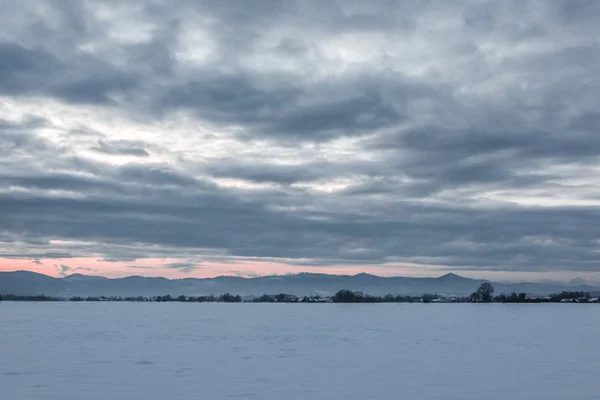 Paysage de montagnes carpates couvertes de neige avec ciel nuageux et arbres à l'aube — Photo de stock