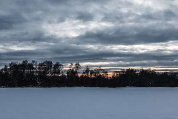 Landschaft der Karpaten mit Schnee bedeckt mit bewölktem Himmel und Bäumen in der Morgendämmerung — Stockfoto