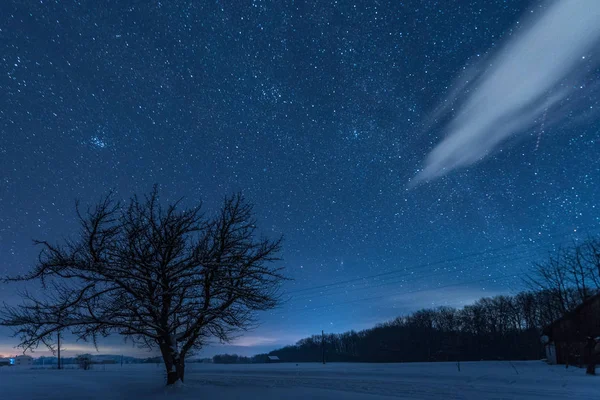 Ciel étoilé sombre et arbre dans les montagnes des Carpates la nuit en hiver — Photo de stock