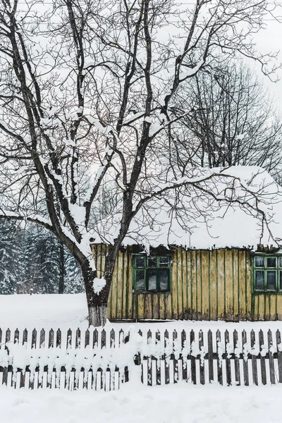Vieja casa erosionada con cerca entre los árboles en invierno - foto de stock