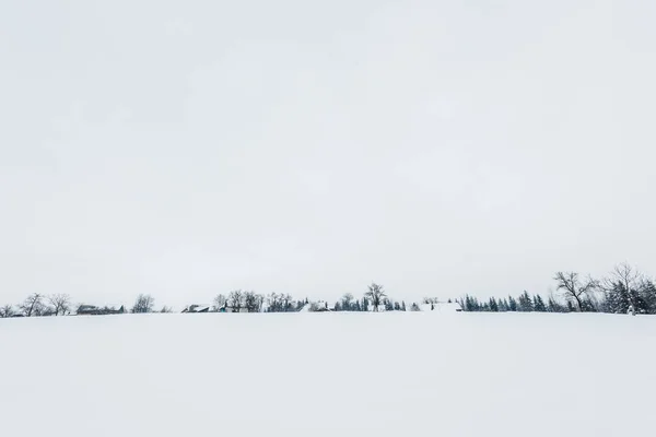 Vue panoramique sur les montagnes des Carpates couvertes de neige — Photo de stock