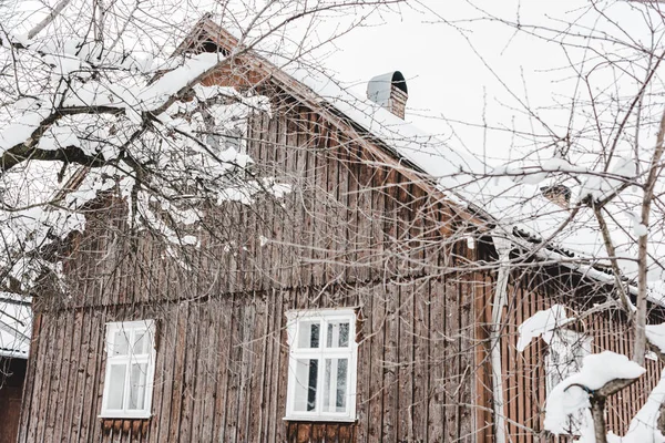 Cottage rurale in legno invecchiato e alberi secchi coperti di neve — Foto stock