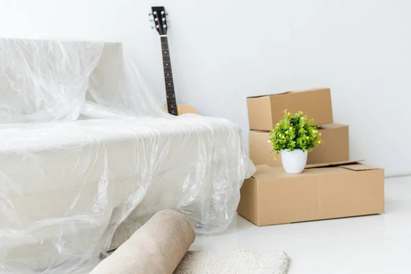 Cardboard boxes, acoustic guitar, sofa in wrapper and green plant at home — Stock Photo