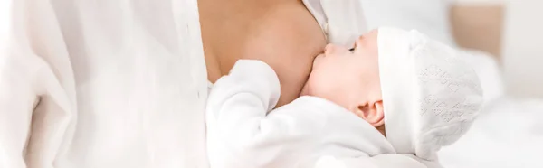 Panoramic shot of mother breastfeeding baby at home — Stock Photo