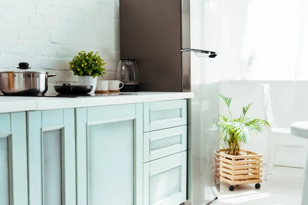 Cozinha leve espaçosa com utensílios de cozinha, plantas, geladeira e forno elétrico — Fotografia de Stock