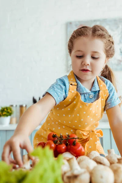 Selective focus of cute kid in polka dot yellow apron touching vegetables on table — Stock Photo