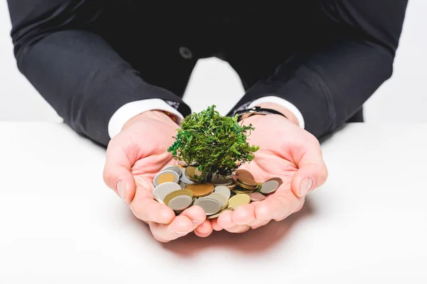 Partial view of man in suit holding coins and money tree on grey — Stock Photo