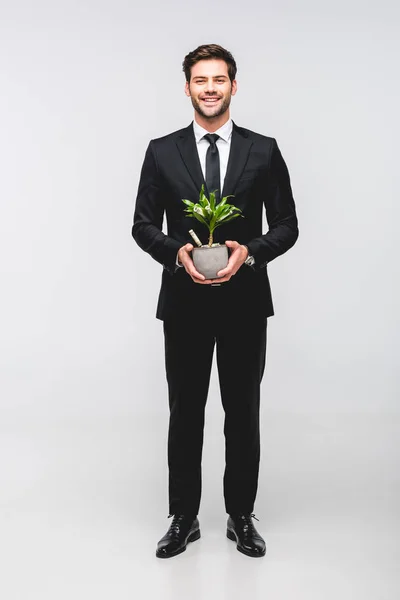Handsome businessman in suit holding flowerpot with money isolated on grey — Stock Photo