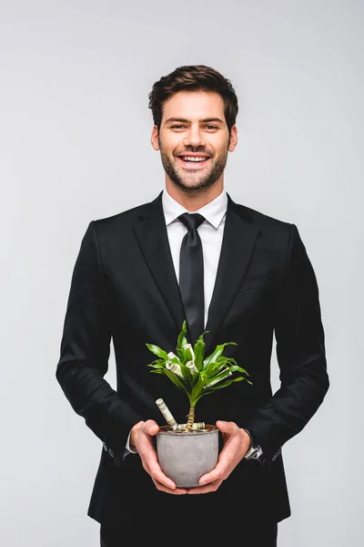 Bell'uomo d'affari sorridente in giacca e cravatta che tiene vaso da fiori con soldi isolati su grigio — Foto stock