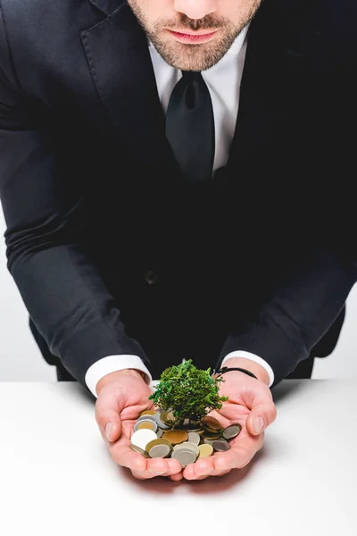 Cropped view of man in suit holding coins and money tree — Stock Photo