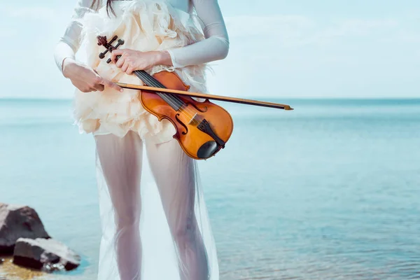 Обрезанный вид нежной женщины в белом лебедином костюме со скрипкой, стоящей на голубом небе и на речном фоне — стоковое фото