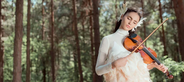 Панорамний вид на красиву жінку в білому лебединому костюмі, що стоїть на лісовому фоні, граючи на скрипці — стокове фото