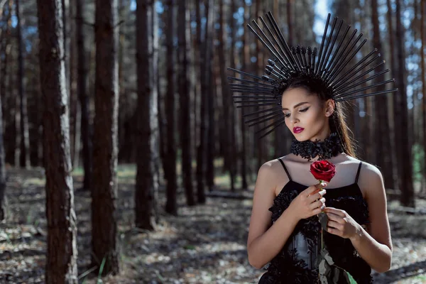 Foco seletivo da mulher adulta em traje de bruxa em pé no fundo da floresta, segurando rosa vermelha — Fotografia de Stock