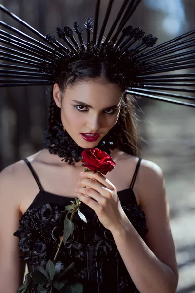Young woman in witch costume looking at camera, holding red rose near face — Stock Photo