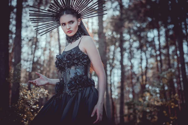 Vue à angle bas de femme élégante en costume de sorcière debout sur fond de forêt, regardant loin — Photo de stock