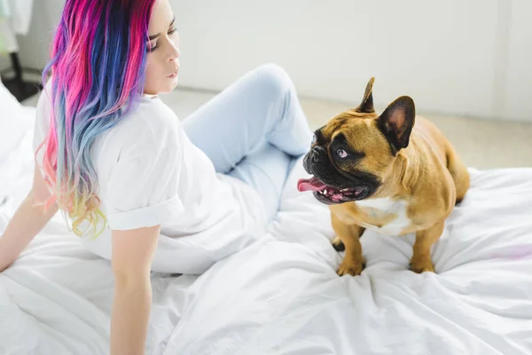 Hermosa chica con el pelo colorido silbando y mirando bulldog francés mientras está sentado en la cama - foto de stock